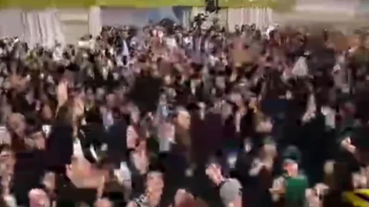 شوق دیدار