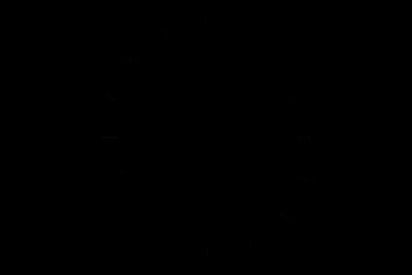  از عطر محرم تا نام قاسم (ع) ، روایت دلدادگی نوجوانان شهرستان طبس در سوگواره احلی من العسل