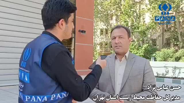 با ساده‌ترین اقدامات در زندگی روزمره، به قهرمانان زمین تبدیل شوید 