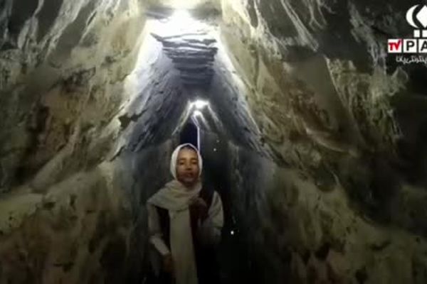 کاشت درخت در سایۀ قنات زارچ